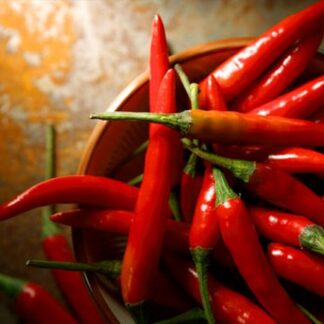 Mini Kırmızı Şili Süs Biberi – Mini Red Hot Chili Peppers