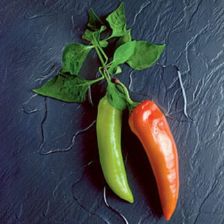 Anaheim Chili Pepper